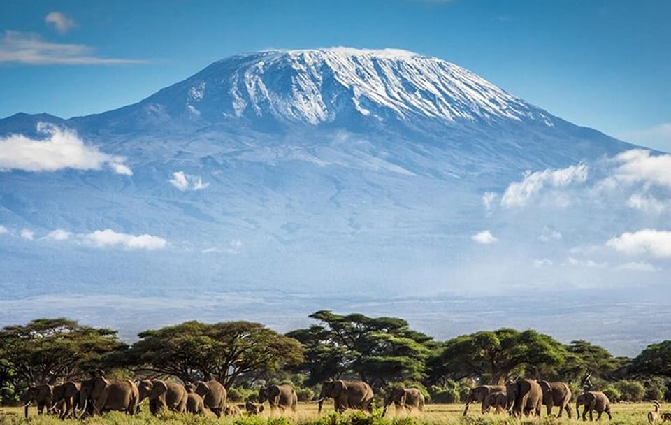 7-Day Machame Route Trekking Tour to Mount Kilimanjaro