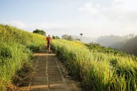 Campuhan ridge trekking