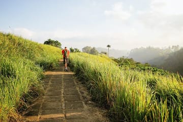 Campuhan Ridge Walk and Rice Terrace Tour in Bali