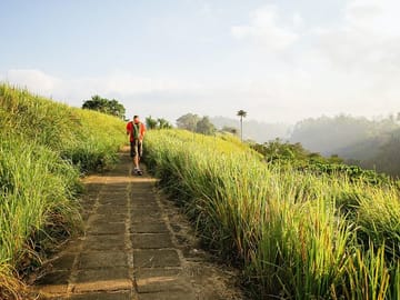 Campuhan ridge trekking