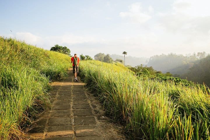 Campuhan ridge trekking
