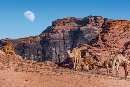 Private Martian Wadi Rum Overnight Bedouin Experience from Amman