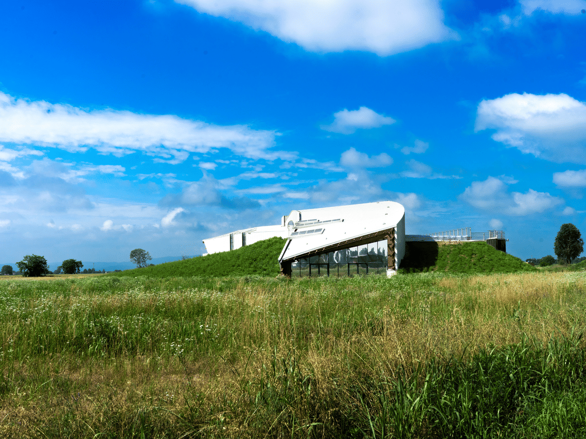Organic Winery Visit near Turin with Wine & Food Tasting 3