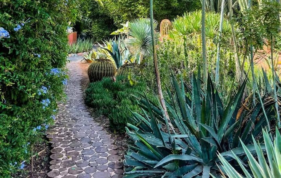 Anima Garden Experience: Tickets And Hassle-Free Transfers