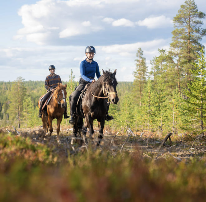 Horse ride to the hill