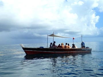 Snorkeling with a whale shark at Mafia Island