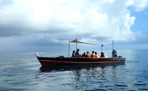 Mafia Island Whale Shark Snorkeling Tour
