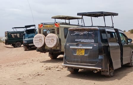 Two days Maasai Mara guided tour