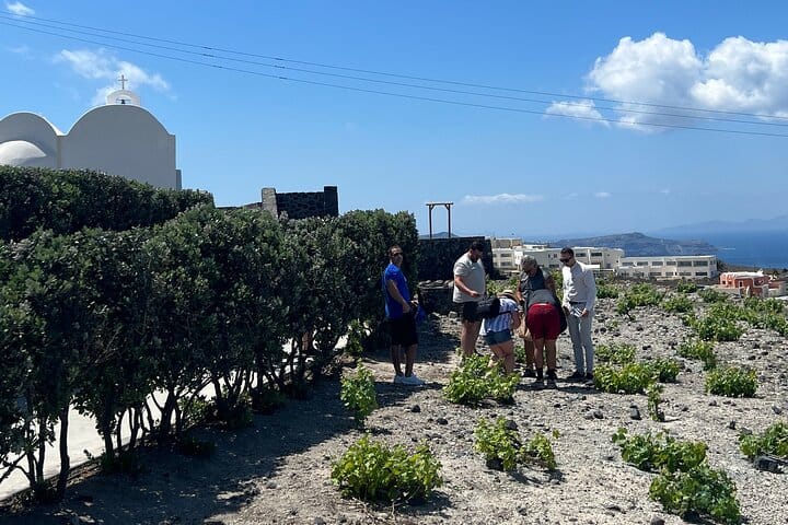 Private Wine Tour in 3 Wineries with 12 Wine Tastings and Tapas 9