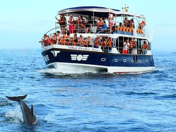 Whale Watching Tour from Tangalla to Mirissa, Sri Lanka
