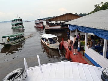 Half-Day Amazon Negro River Expedition from Manaus