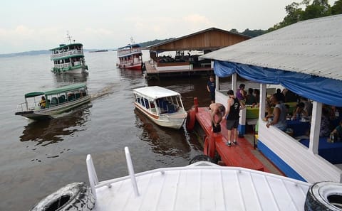 Half-Day Amazon Negro River Expedition from Manaus