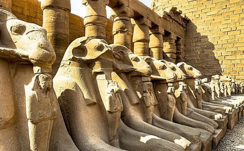 Small Group Day Tour to Luxor and Valley of the Kings from Hurghada
