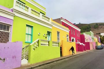 Table Mountain, Boulder Beach and Cape Point Day Tour from Cape Town