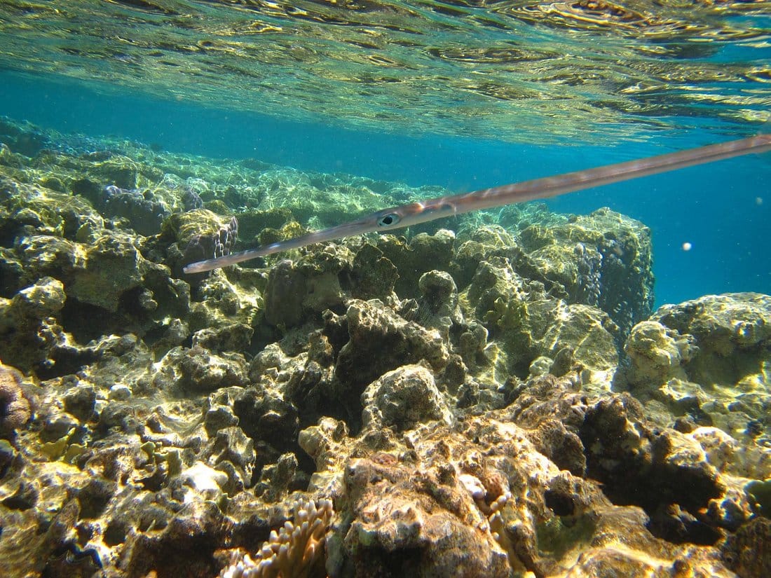 trip to the Valley of the Nile