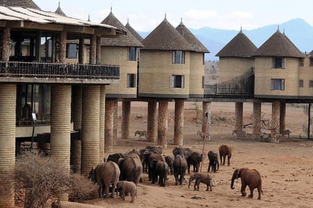 5 Days Tsavo East, Tsavo West & Amboseli Private Wildlife Safari from Mombasa