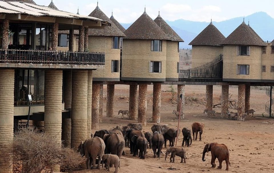 5 Days Tsavo East, Tsavo West & Amboseli Private Wildlife Safari from Mombasa