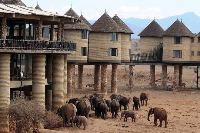 5 Days Tsavo East, Tsavo West & Amboseli Private Wildlife Safari from Mombasa