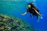 Snorkeling Sea Trip &amp; Diving Adventure with Lunch - Marsa Alam
