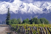 Small-Group Half Day Tour to Concha y Toro Winery 2