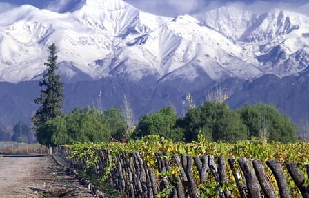 Small-Group Half Day Tour to Concha y Toro Winery