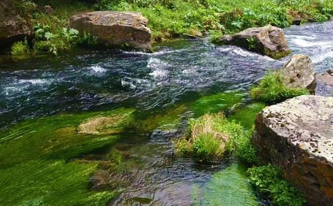 Fishing and Cultural Exploration Tour in Batumi and Keda