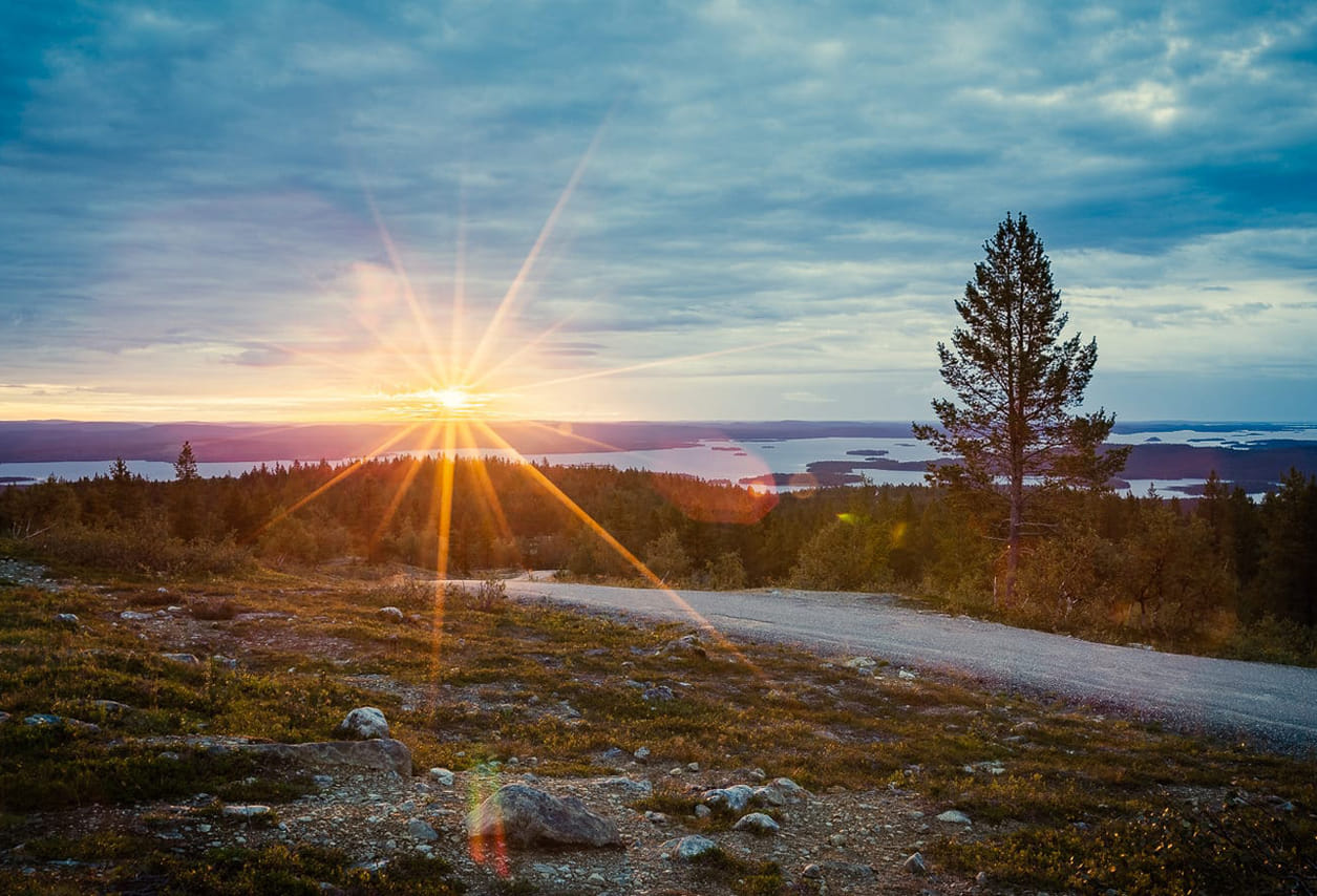Midnight hiking tour in Rovaniemi 2