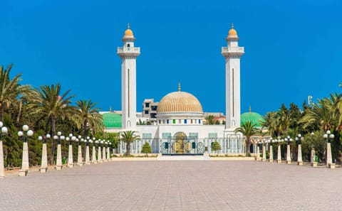 Private Day Tour of Hammamet, Monastir, and Sousse