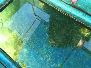 Private Glass Bottom Boat Ride in Trincomalee, Sri Lanka