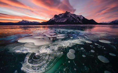 Stargazing Tour in Banff National Park, Canada