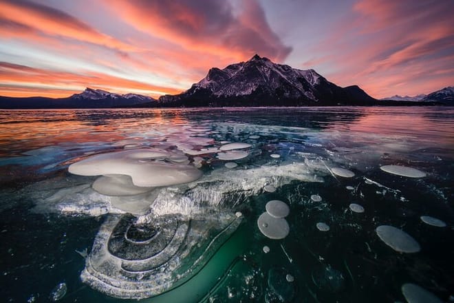 Banff Stargazing and Night Sky Tour from Canmore or Banff photo 3