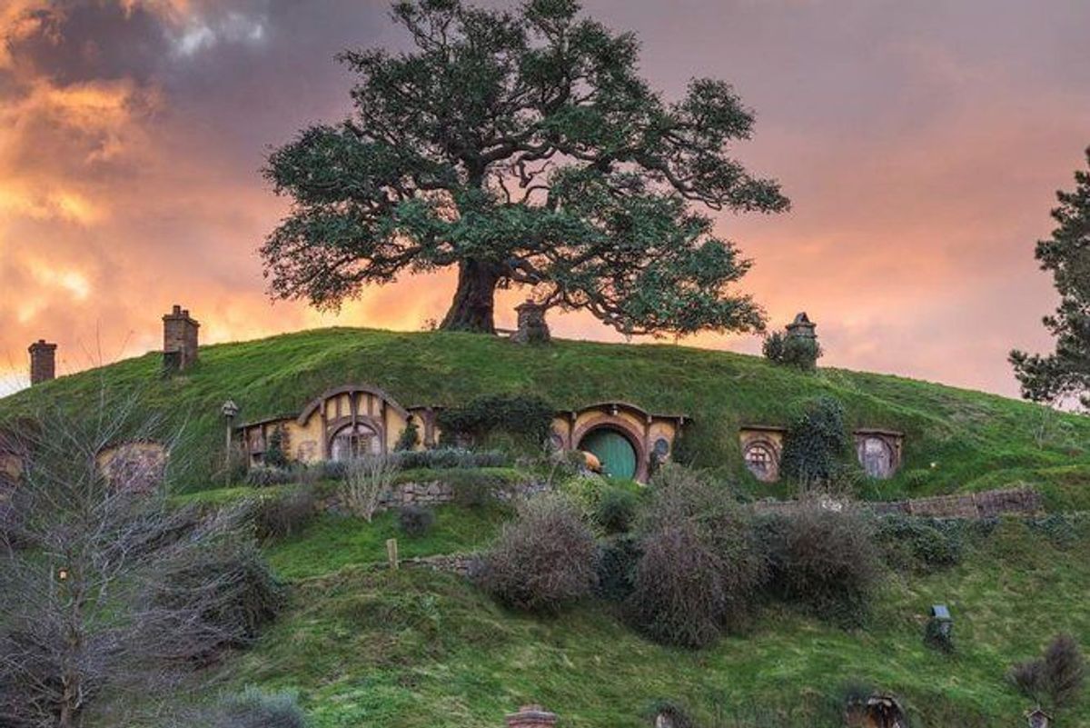 Hobbiton Movie Set Tour