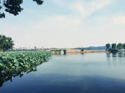 Private Day Tour to Hangzhou from Shanghai: Xihu Lake, Lingyin Temple, and More 1