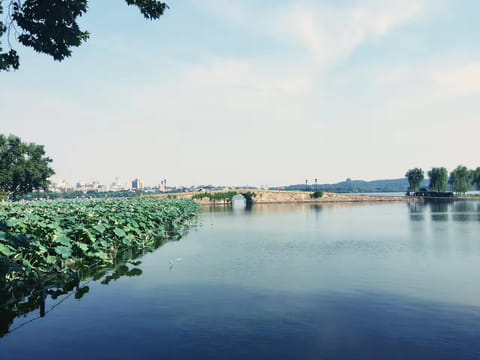 Private Day Tour to Hangzhou from Shanghai: Xihu Lake, Lingyin Temple, and More