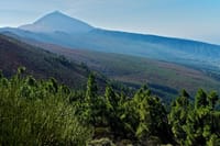 Tenerife Island Tour 5