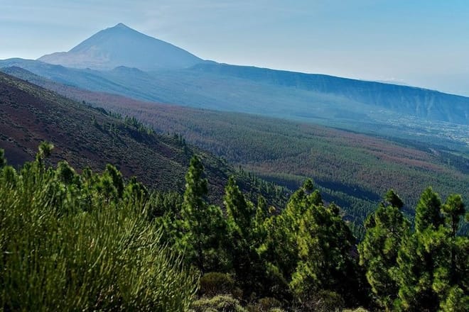 Tenerife Island Tour 5