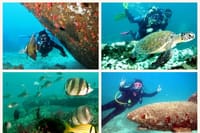 Diving (Baptism) 09:00 2