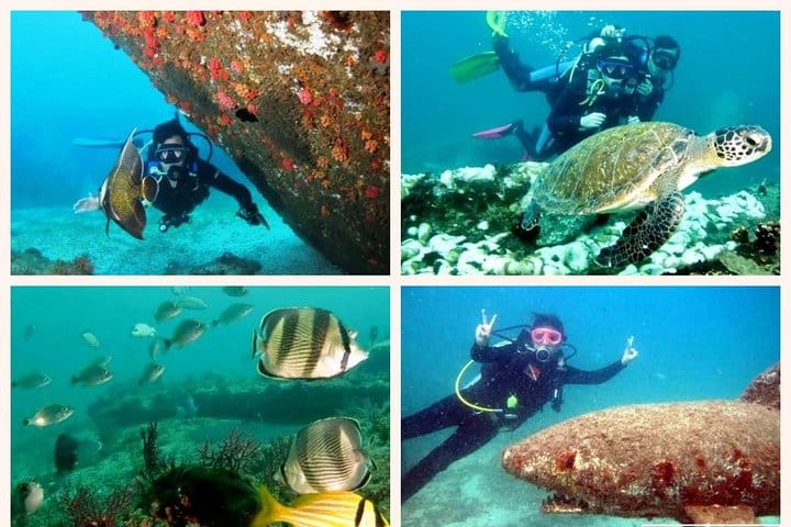 Diving (Baptism) 09:00 2