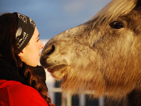 Whales & Horses, photo 3