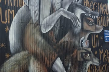 Private Reykjavik Street Art & Photo Friendly Walking Tour