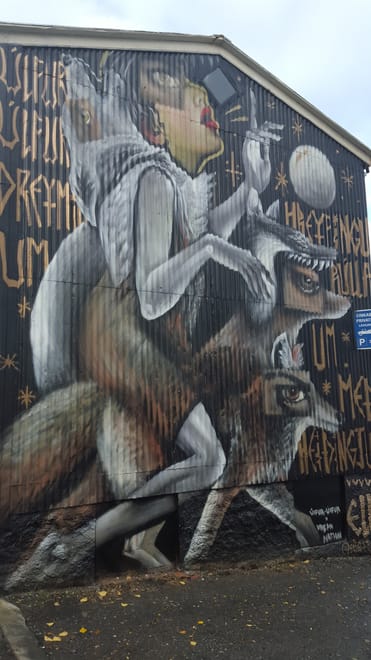 Private Reykjavik Street Art & Photo Friendly Walking Tour photo 4