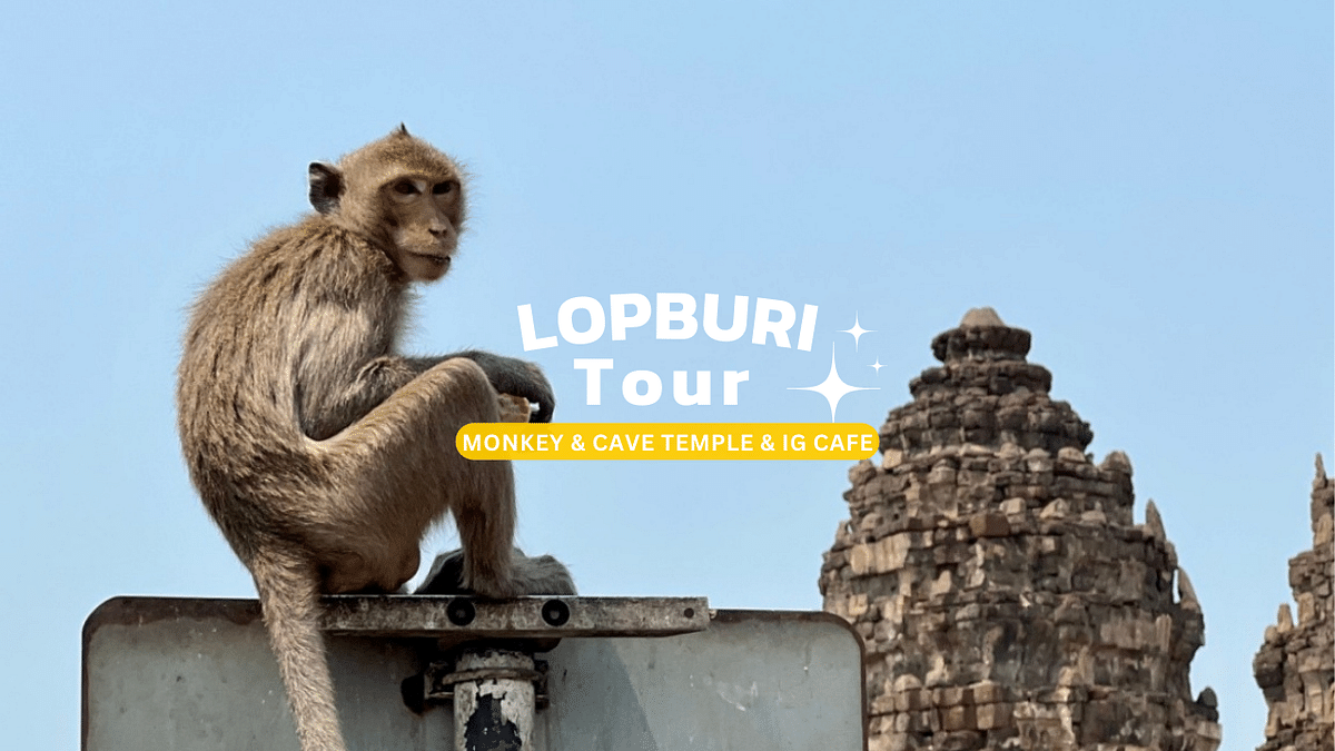 Lopburi Monkey City Tour: Temple Visits & Scenic Cafe Stops