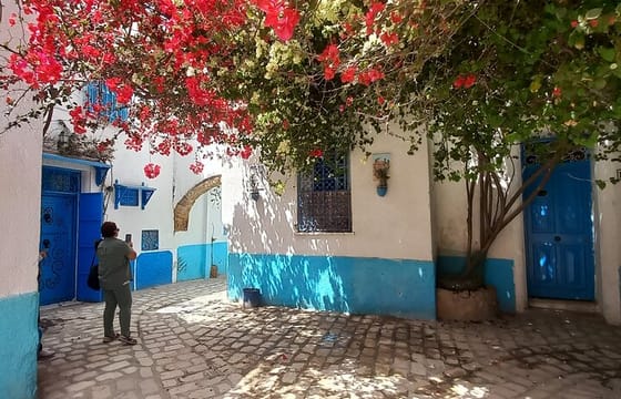 Epic Daytrip Bizerte Cape Angela and Ichkeul UNESCO Bird Watching