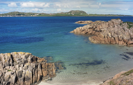 4-Day Puffin and Wildlife Tour from Edinburgh to Mull and Iona