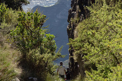 Table Mountain hiking adventure. Cape Town. Guided.