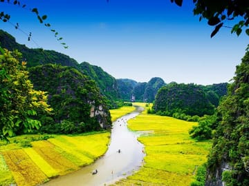 tam coc