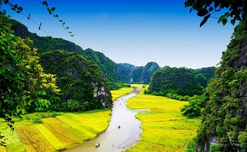Ninh Binh Highlights Day Tour with Cycling from Hanoi