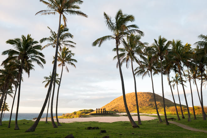 2 Half Days & 2 Full Days Private Tours | OPTION B
