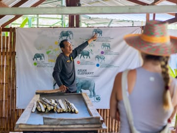 Phuket: Ethical Elephant Sanctuary Experience