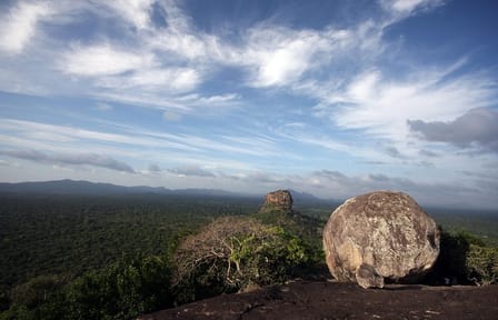 Pidurangala Rock Cultural Day Tour from Colombo